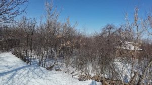 востоновление дачи заброшенной