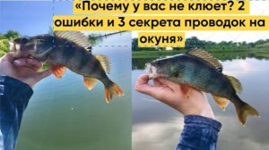 «Почему у вас не клюет? 2 ошибки и 3 секрета проводок на окуня»