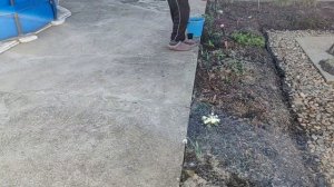 9-12.03.26. Зима и лето. Подкармливаем, открываем, сажаем, моем.