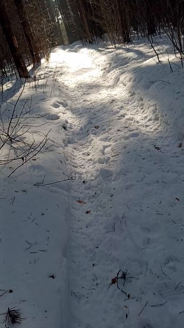 Группа Little Angels гуляет по лесу!
ПОДПИСЫВАЙТЕСЬ #ЛЕСОК