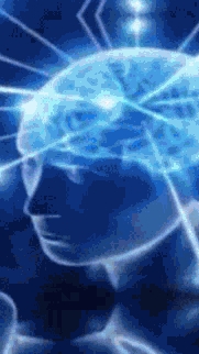 Монеты которые продливают жизнь приколы