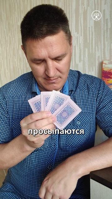 город засыпает  просыпаются маффины 