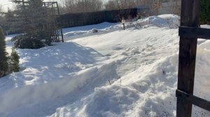 Дом не подвел. Развесила гирлянду по перголе. Закат