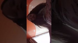 супер медведь