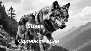 Одинокий Волк.mp4