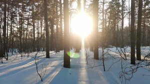 Солнце ☀️ в лесу: в России нужно создать Отдел по политико-экономическому саботажу! Big Data, ИИ