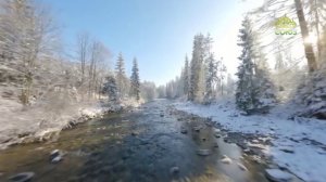 Стихи над миром. Стихотворения Зинаиды Миркиной