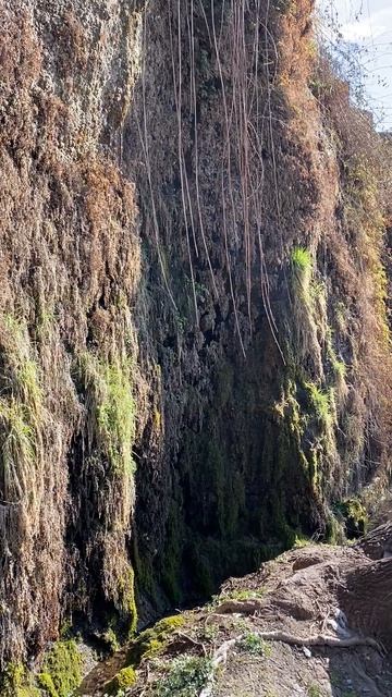 15-03-2026 вода по склону