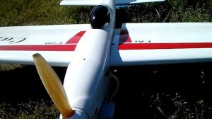 Сириус F2B (белая) перед полётом.