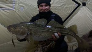 зимний морской  ЛЮТЫЙ ТРОФЕЙ на кусок селёдки.терпение стоило того мужики!