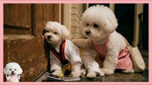 Дверь, которая не открывается! Тайна 99 ночей в лесу