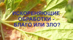 Искореняющие обработки: благо или зло?
