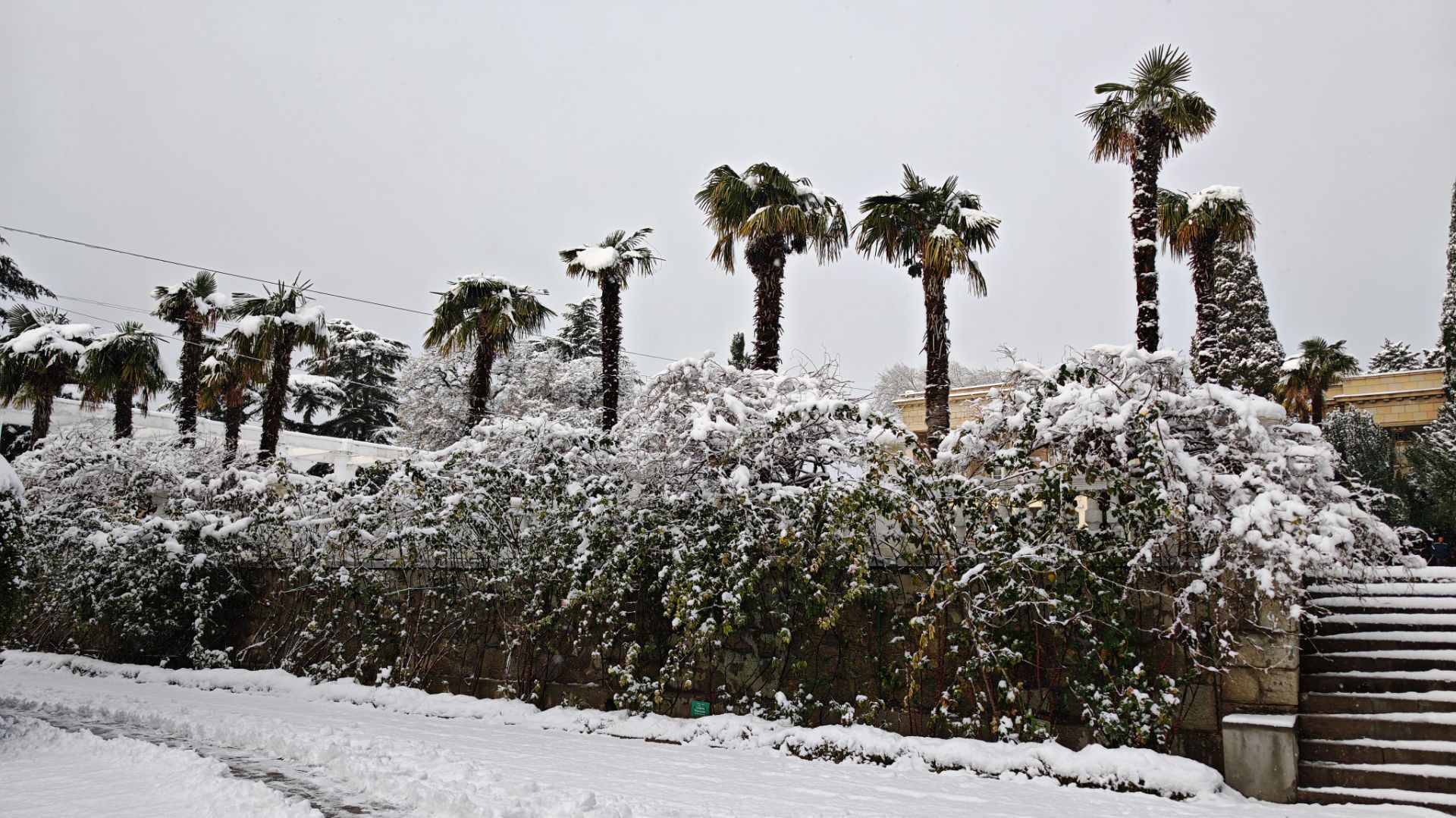 День 1й 29 декабря