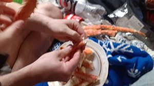 Кошечки кушают камчатских крабов