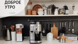 Подарок из Африки.Кошка экстрималка и секретные рецепты.