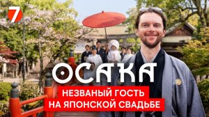 Столица развлечений – Осака: свадьба, шоу акробатов, океанариум 🇯🇵  Серия 7 | Велотур по Японии'25