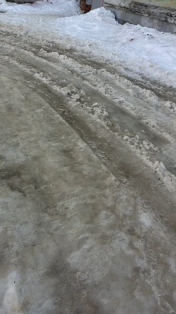 №1701 Двор П. Осипенко 48. 14 марта 2026 г., 11:14:07 VID_20260314_111315169