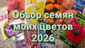 Сезон посадок 2026 открыт. Обзор семян цветов. Семена сельдерея.