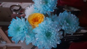 УЮТНЫЙ🫠ВЛОГ🏡ДОМАШНИЙ/БОРЩ🥣КАК ПРОИЗВЕДЕНИЕ😉ИСКУССТВА/ПОСЕЯЛА🍅ТОМАТЫ/ПОСАДИЛА ЛУК НА ЗЕЛЕНЬ