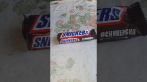 История из жизни