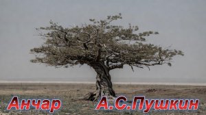 Анчар. А.С.Пушкин