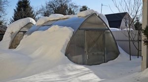 🔥Енот гонит конкурентов, снегирь прикормился