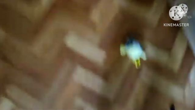 Анонс СуперКрошки (ТНТ Старый Варя, 01.03.2026)