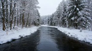 Зимний лес с рекой звук relax