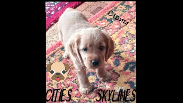 Стрим по Cities: Skylines