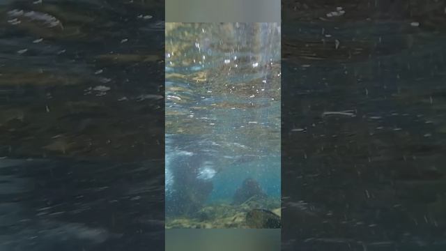 ШАРМ-ЭЛЬ-ШЕЙХ.AMPHORAS BEACH HOTEL.ФЕВРАЛЬ 2023 Г.