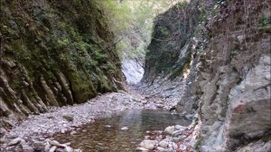 Карина Королева-Гембицкая Пьеса "Размышление"