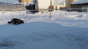 15 марта наш день! 💍