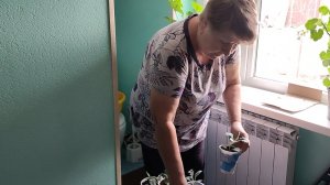 Хроника выходного дня. Жизнь станичная на пенсии.