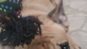 Не удачные дубли