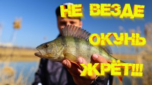МИКРОДЖИГ ловит ВСЕГДА 💪 Вредный и капризный окунь съел эту ПРИМАНКУ 👍👍👍