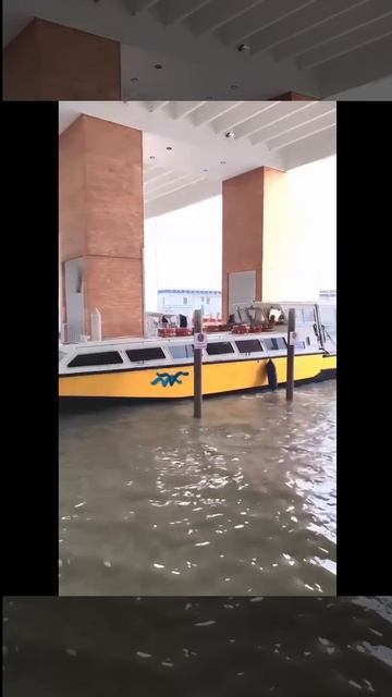 Алилагунa (Alilaguna) — водный автобус в Венеции.