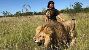 Тайсон очень быстро учится разговаривать у Кеши, я решила их вольеры поставить рядом)