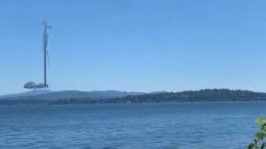 Сиреноголовый муравей (видео с канала Paranormal world)