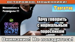 Мошенники звонят по телефону _ Хочу говорить с нормальным поросёнком..