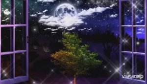 *** ДОБРЫЙ ВЕЧЕР ___ СДЕЛАЙ ШАГ НАВСТРЕЧУ МНЕ... ***