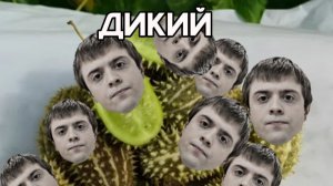 Челлендж кто засмеялся тот без трусов остался 😄😄😄