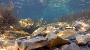 Еще холодное мартовское Черное море.