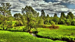 Холодная вода...