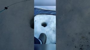 15-03-2026. Очередной вылаз на реку. Половить рыбёшку.