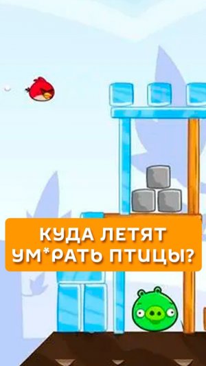 Куда летят умирать птицы?
