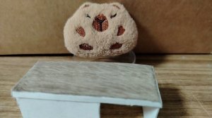 Странные сюрпризы😜😨🎃что это такое😬?? 
Капибарке страшно😬😬😬😂🫠🤯!!!!