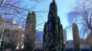 Наши КОММЕНТАРИИ санаторий ДЖИНАЛ (продолжение)