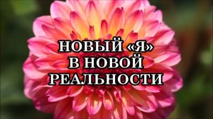 НОВЫЙ «Я» В НОВОЙ РЕАЛЬНОСТИ. С чего начать новую жизнь?