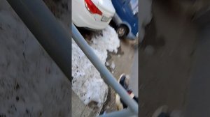 провели эксперимент, сколько найдём денег за 30 минут на  детской площадке??😮