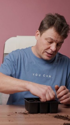 Лаванда из семян - это просто!